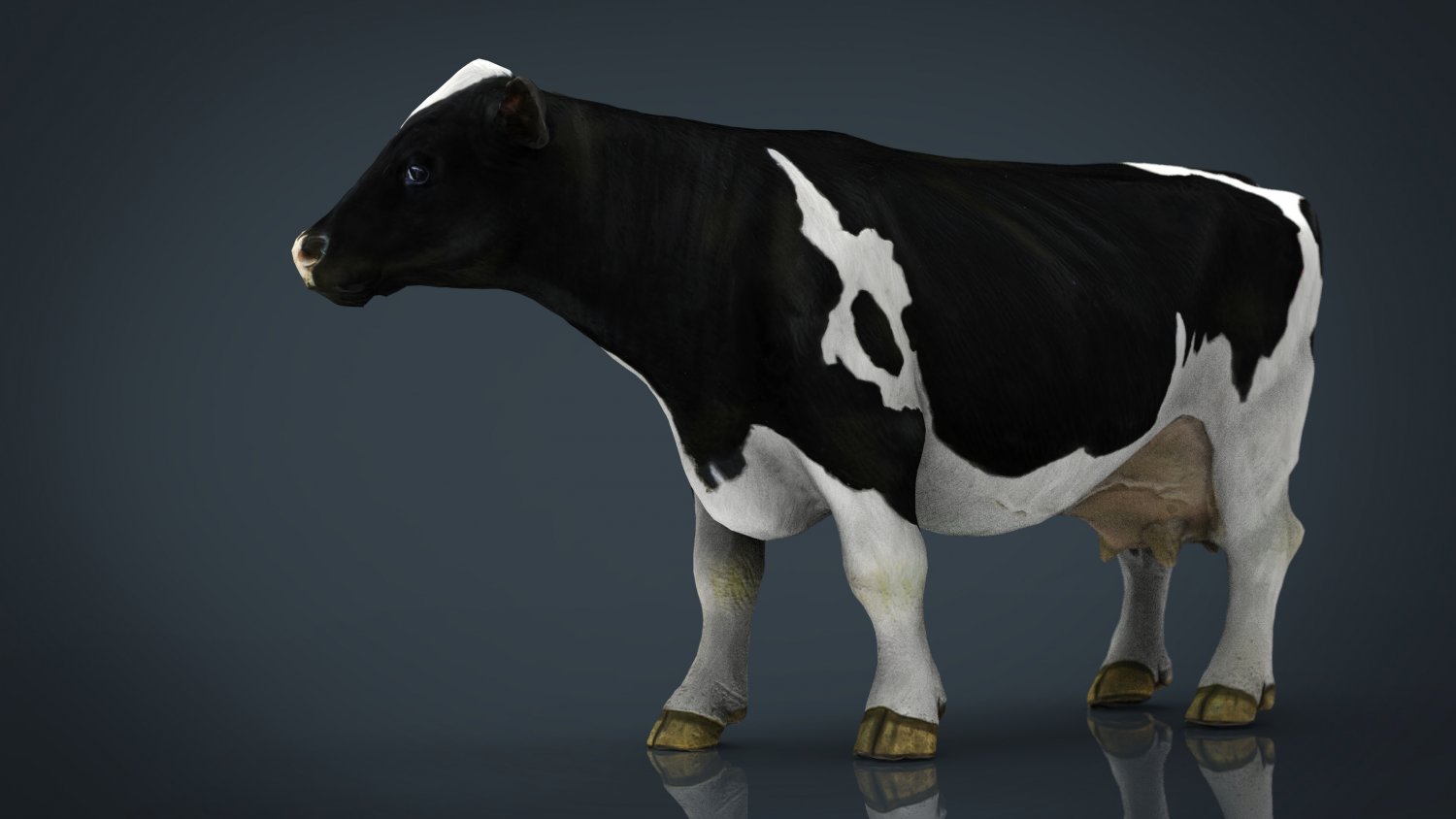 MILK COW 3D Model in Cow 3DExport