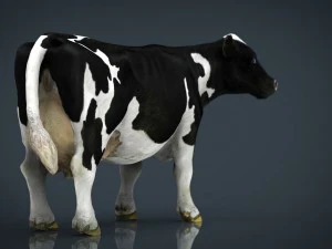 vaca lechera Modelo 3D