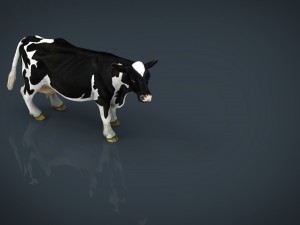 milk cow 3D Модель