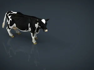 vaca lechera Modelo 3D