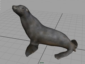 seal 3D Модель
