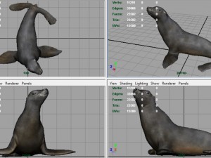 seal 3D Модель