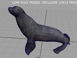 seal 3D Модель