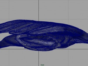 leather gloves 3D Model