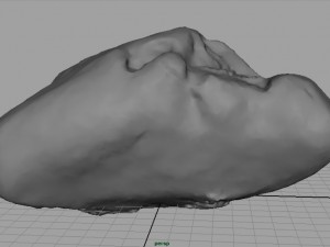 rock 23 3D Model