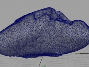 rock 23 3D Model