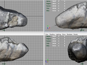 rock 23 3D Model