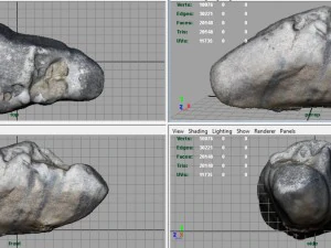 rock 23 3D Model