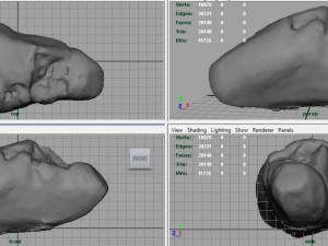 rock 23 3D Model