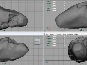 rock 23 3D Model