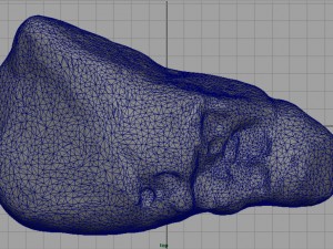 rock 23 3D Model