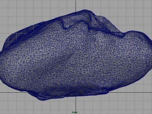 rock 23 3D Model