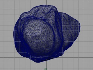 rock 23 3D Model