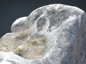 rock 23 3D Model