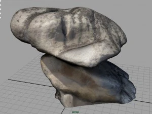 rock 24 3D Model