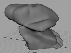 rock 24 3D Model