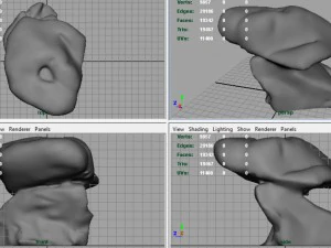 rock 24 3D Model