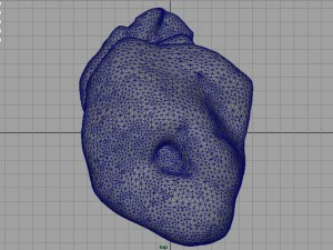 rock 24 3D Model