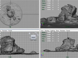rock 25 3D Model