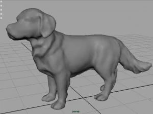 labrador retriever 3D Model