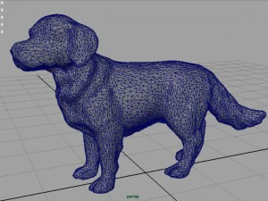 labrador retriever 3D Model