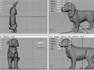 labrador retriever 3D Model