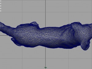 labrador retriever Model 3D