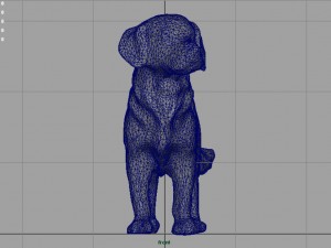 labrador retriever Model 3D