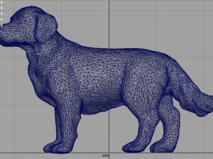 labrador retriever Model 3D