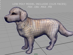 labrador retriever Model 3D