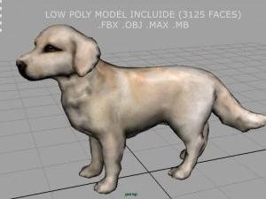 labrador retriever 3D Model