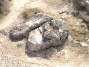 rock 26 Model 3D
