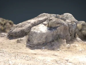 rock 26 3D Model