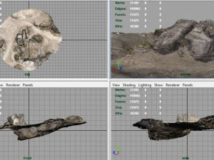 rock 26 3D Model