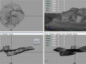 rock 26 3D Model