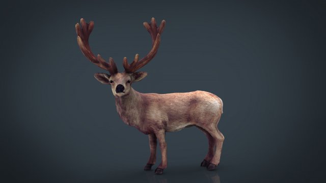 red deer Modèle 3D .c4d .max .obj .3ds .fbx .stl .blend 