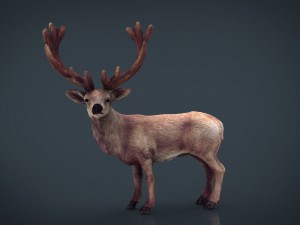 red deer 3D Model