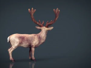 red deer 3D Model