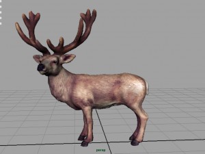red deer Modèle 3D