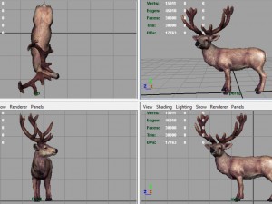 red deer Modèle 3D
