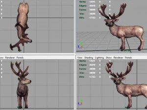 red deer 3D Model