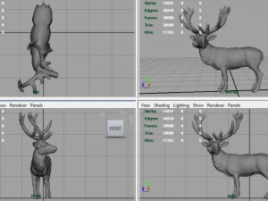 red deer Modèle 3D