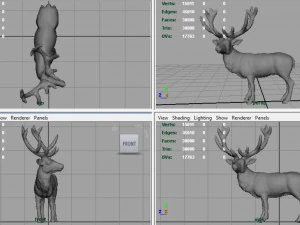 red deer 3D Model