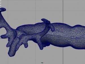 red deer Modèle 3D