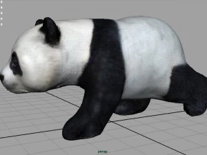 panda che cammina Modello 3D