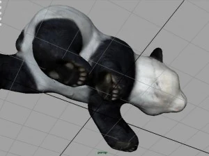 panda che cammina Modello 3D