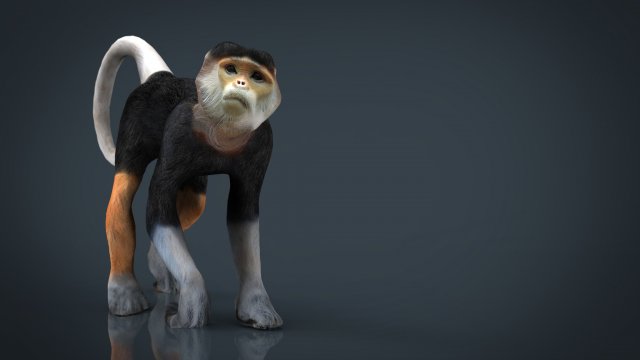 monkey Modello 3D .c4d .max .obj .3ds .fbx .stl .blend 
