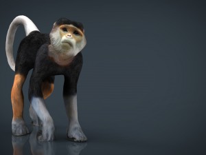 monkey 3D Model