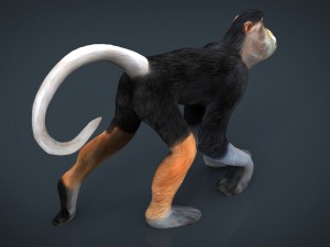 monkey Modello 3D