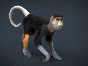 monkey Modello 3D